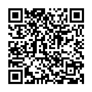 随即伸手一翻手中顿时出现在了一株淡黄色的栩栩如生的小草二维码生成