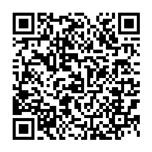 随即发展到潘德拉星上普通人家的家用机器人……不少机器人在同伴的二维码生成