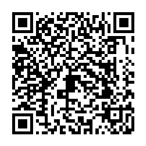 随即看向墙壁上那副不大模糊的演绎着宇宙万物生命起源流程的五行图案二维码生成