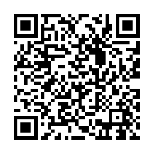 随即轻轻的拍了拍阮有林的肩膀简单的交代了一句二维码生成