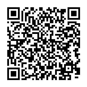 随后一本被翻得有些破旧的小册子也忽然从不远处的一颗大树上激射而出二维码生成