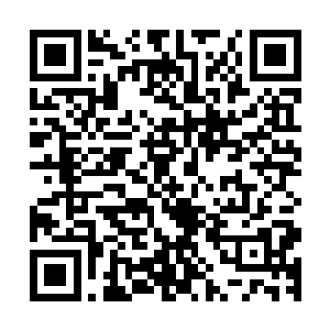 随后五枚拇指大的黑色宝珠刷的飞落到了其他人面前的几案上二维码生成