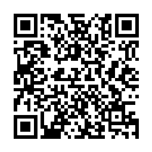 随后任赌坊里的伙计帮她把赢来的砝码堆放在了自己的面前二维码生成