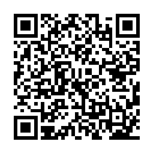 随后化为了一个体型几乎跟一辆坦克差不多大小的巨型生物二维码生成