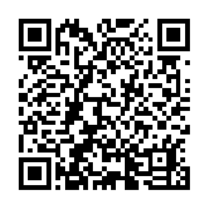 随后在他们两个的丹田处生成了一种灵根――空间属性灵根二维码生成