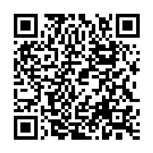随后夏天的灵犀一指第二重直接脱离了轨道撞向了旁边的巨树二维码生成