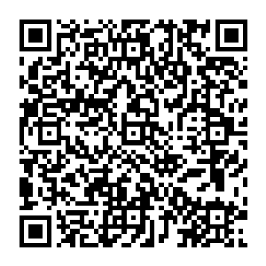 随后就见那原本像是真正的雨滴洒落在他们头脸的雨滴立即全部从他们身上滑向他们手背的印记二维码生成