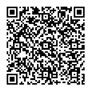 随后数以百计的血针也在精神力的推动下带着剧烈的破空声狠狠轰击在了刚刚才破石而出的饥饿骑士身上二维码生成