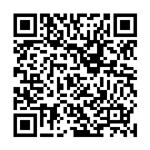 随后表情狰狞的用另一只手吸出了藏在其中的符文器具二维码生成