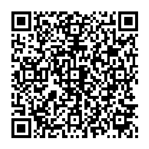 随后赶来的冷淮率领墨家军二十多万加上叶璃这边归降的大军也不过看看五十多万二维码生成