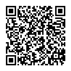 随后那些虫子所化的冰雕和被彻底冻结的地面上也瞬间浮现出无数细密的裂纹二维码生成