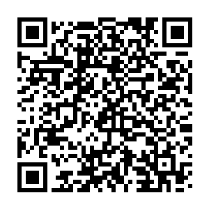 随后龙傲天将寰宇天界和三千大世界现在的处境简单的给众人说了一遍二维码生成