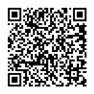随意的看了一眼放置在客厅右侧墙壁上的悬挂式水晶台上拳头大的传讯水晶二维码生成