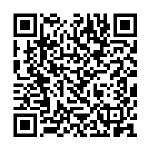 随手拿起桌子上的丹药倒出一枚拿在手里闻了闻二维码生成