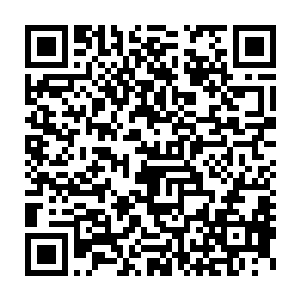 随着作为根基的那竟是达到了数百条的仙脉被血妖姬们一口气收走二维码生成