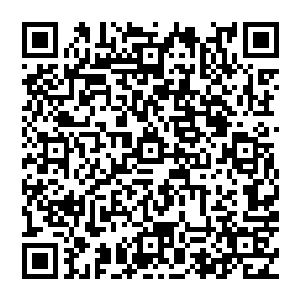 随着历史的远去 远古消失 而那些传说中的大能都先后陨落 或是消失不见 留下的唯有一幕幕传说二维码生成