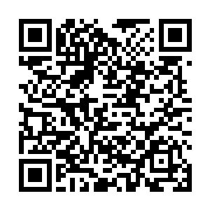 随着黄金巨蟒的蛇头和白子河的拳头重重的撞击在一起二维码生成