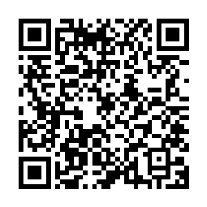 隐秘的暗室才对的……或许真正的宝物隐藏在那里面也说不定的二维码生成