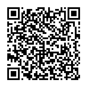 隐约能猜到对方大概是私家侦探或者大公司专门处理幕后事务的人二维码生成