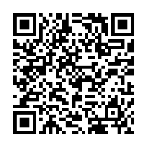 隐约还记得闯进去的时候就看到了和平时完全不一样的锦玉二维码生成