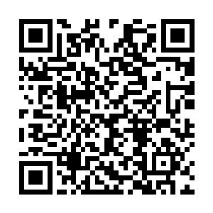 隐约间在他的拳头上形成了类似于拳罡一样的可怕劲气二维码生成
