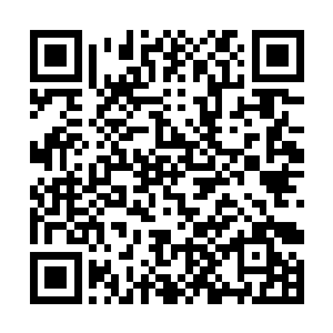 隐蔽了样貌的杨威隔着几百丈的距离眯眼朝杨开望去二维码生成