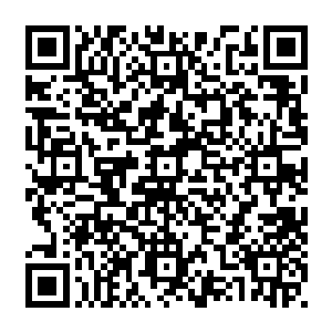 隐藏在这个冠冕堂皇理由下面的真实意图就是千方百计削弱拜仁慕尼黑对手的实力二维码生成