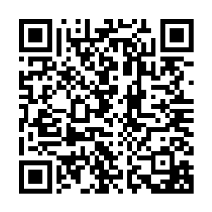 隐藏着一份只有连俢肆这个段位的高手才能轻易瞧出的老歼巨猾二维码生成