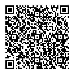 隔着二里的距离用那细长得似乎只剩下一条直线的棍子干净利落地将狮驼王手中的九环大刀挑飞了二维码生成