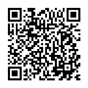隗达立即按照喜臻的计划从中抽出将近一半的人手来开垦山林二维码生成