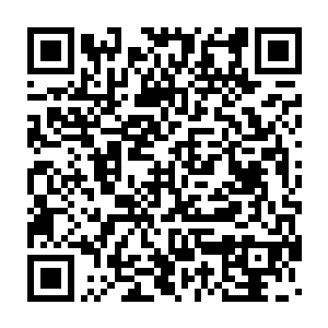 难不成你觉得我们东方世家还有必要欺骗你们这样一个小门小派不成二维码生成