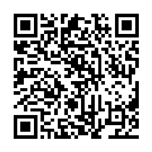 难不成就这样让锦衣卫进府抓人……皇妹怎么也是宗室啊……二维码生成