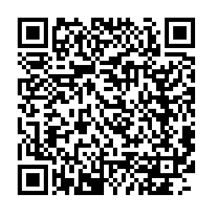 难不成我们就这么冲到人家城门前喊仇天霜的名字让他出来和我们开战二维码生成