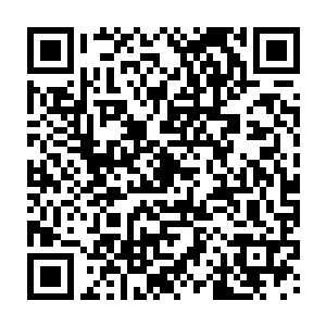 难不成现在的鸡都明白最危险的地方就是最安全的地方这样一条扯淡的定律二维码生成