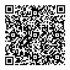 难以置信的是楚白云等人之所以能够布下埋伏袭杀他的手段就是利用他那天在中央试炼场中留下的血液二维码生成