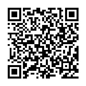 难保这家伙不会为了隐藏秘密而杀他们灭口的……这样一看的话二维码生成