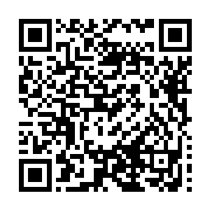 难得有一次木莎实在好奇让木萦这么投入看的书是什么内容二维码生成