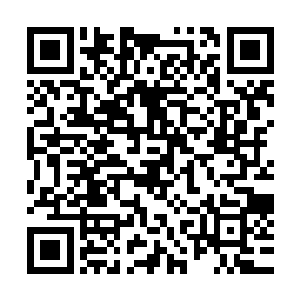 难怪得它藏在林封谨的影子里面跟着走的声音会被林封谨听到二维码生成
