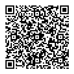 难怪自己会有一种回归母体的感觉 原來都是此地界珠的主人 僵尸之王所导致 原來  这一切都是一个局二维码生成