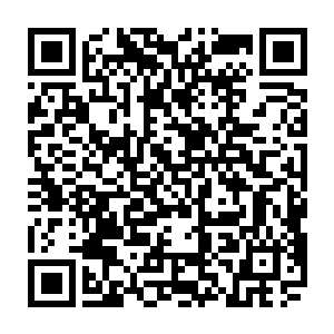 难道……雍州崔离误打误撞之下还学会了一门秘法可以媲美炼魔的炼狱轮回二维码生成