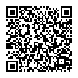 难道丁羽和蕾切尔两个人采用了其他的手段才取得了最好的成绩吗二维码生成