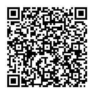 难道不知道京城的龙脉和京城不止的九五镇龙风水阵会自动压制一切法器和玄学界的力量吗二维码生成