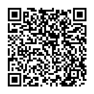 难道世家的这些人就这么看着他们的宗师的元神被秦国师给生生的用火给炼化了二维码生成