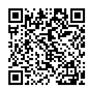 难道他们出动了什么秘密势力或者武器才让你伤成这个样子的二维码生成