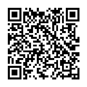 难道他们真的要把我们其他的几大家族赶尽杀绝吗……二维码生成