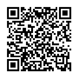难道他们还能凭他们的小学文化程度去当程序员或者黑客二维码生成