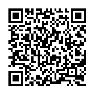 难道你不清楚暗战首映礼会引起怎么样的轰动吗二维码生成