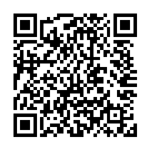 难道你们没有看出林啸绕过日军直扑东京的战略是正确的吗二维码生成