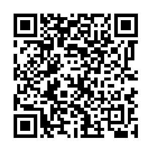 难道你们蛇族的典籍之中也没有记载如何修复妖器的么二维码生成