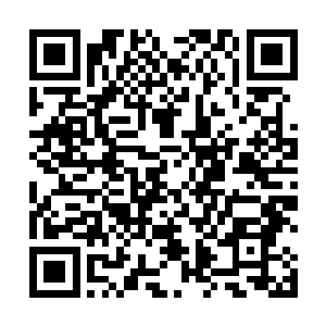 难道你准备像上次那样利用你和假的魔虫王的气息不成二维码生成